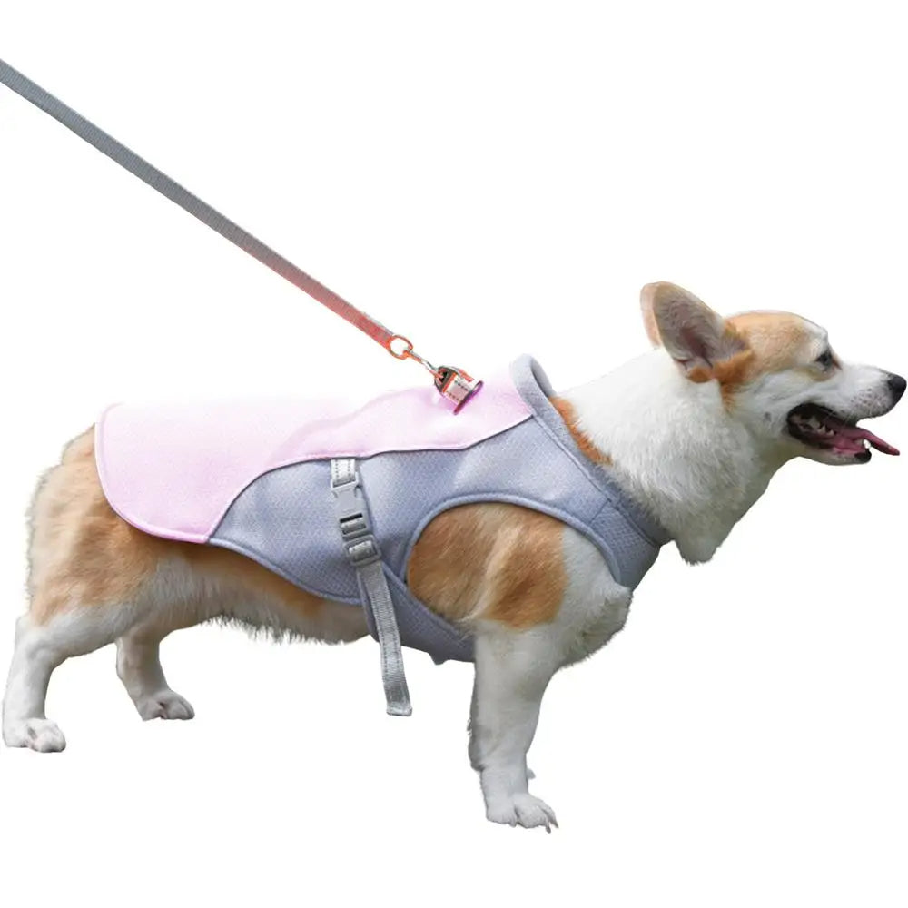 Dog Cooling Vest for Hot Weather Activities