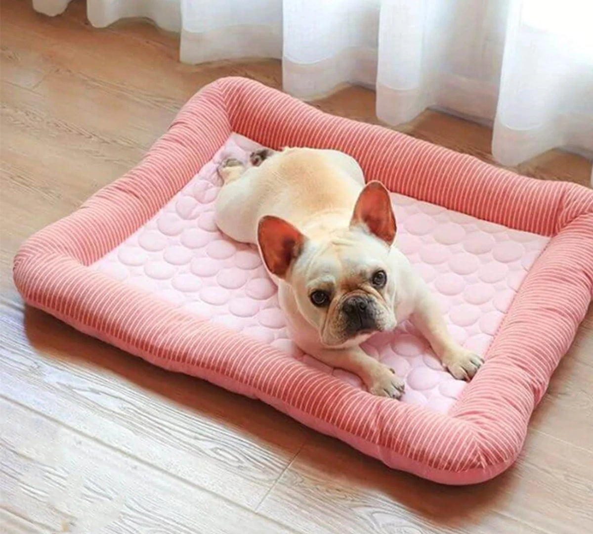 Ice Silk Cooling Bed for Dogs and Cats