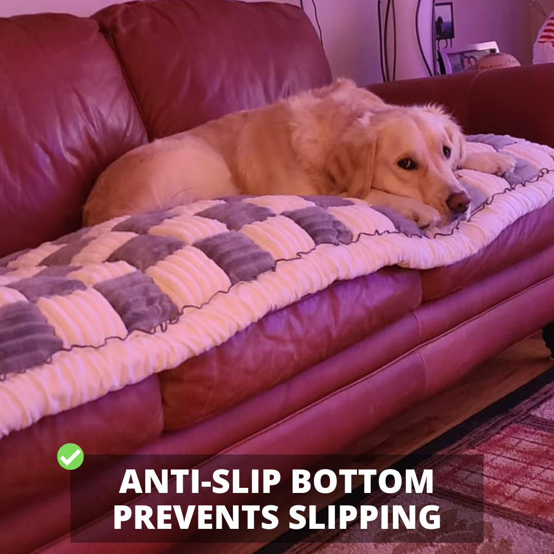 Orthopedic Furniture Protector and Cushioned Dog Bed Couch Cover