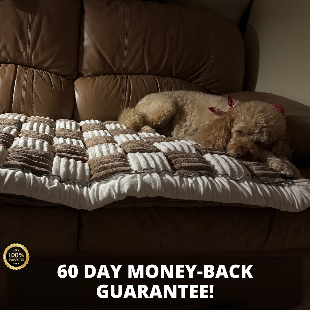 Orthopedic Furniture Protector and Cushioned Dog Bed Couch Cover