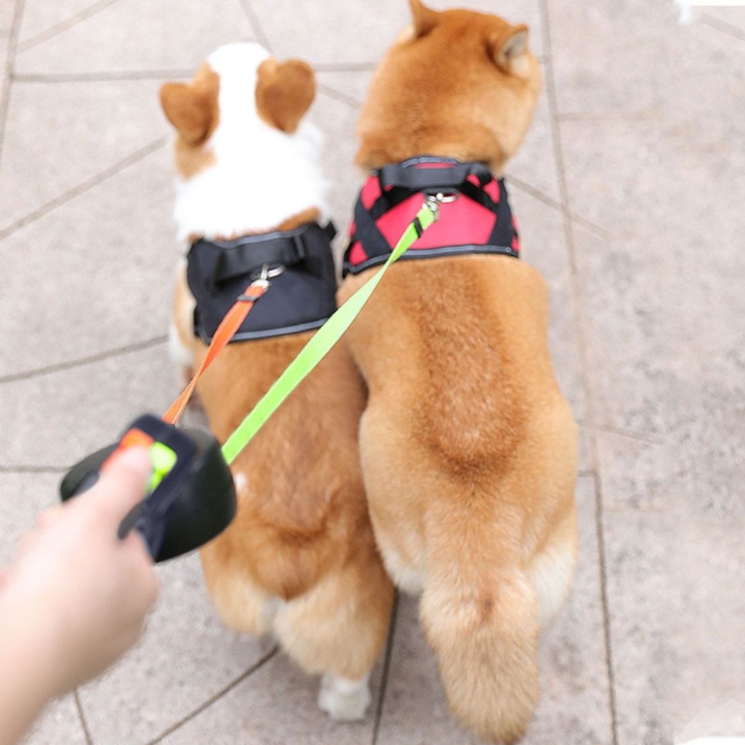Anti-Tangle Double Dog Leash With Swivel Joint