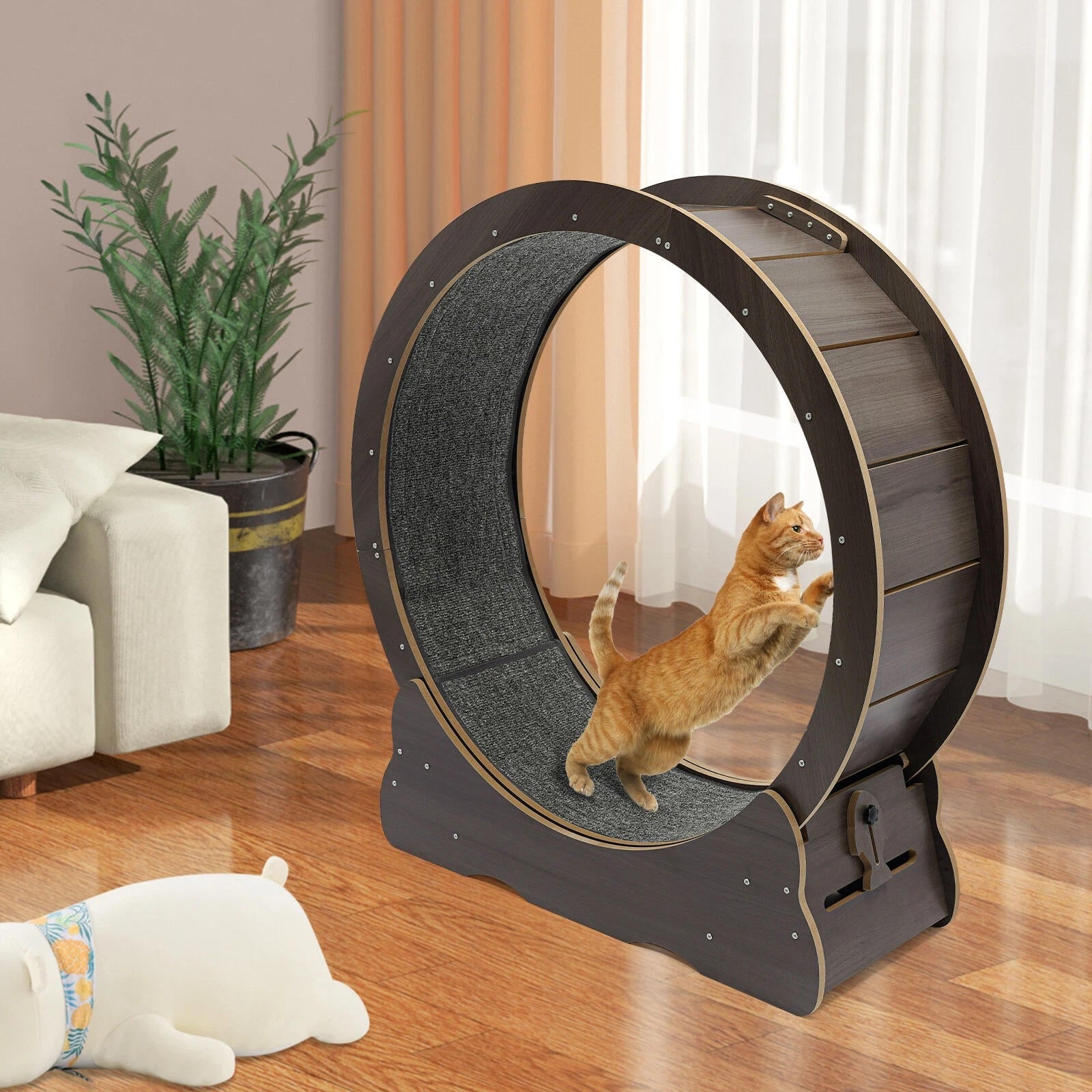 Quiet Indoor Cat Exercise Wheel with Cushioned Track